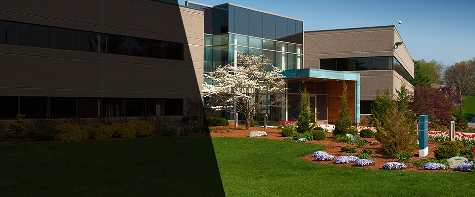 San Rafael Landscapers