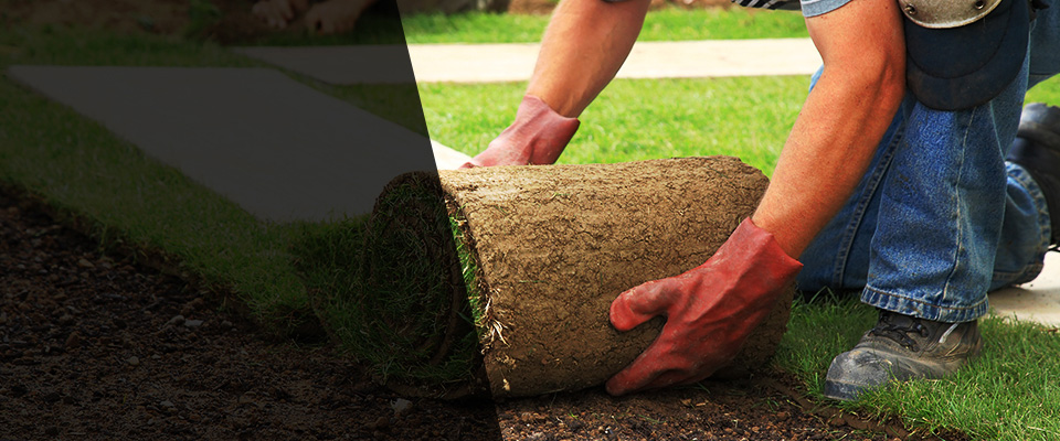 San Rafael Landscapers